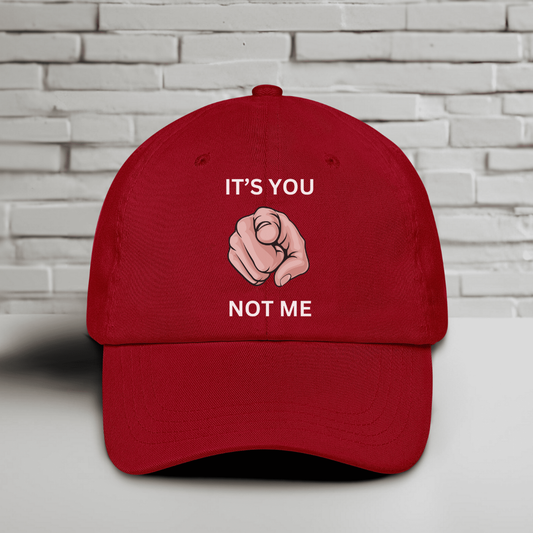 It’s You Not ME Embroidered Baseball Cap